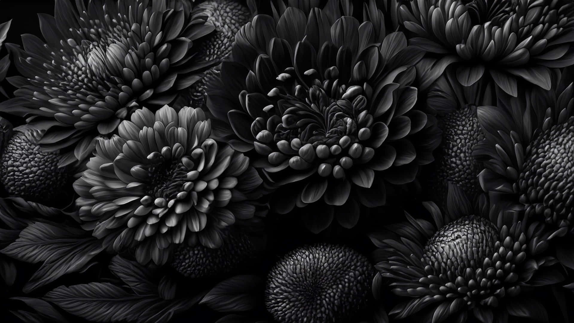 Black And White Floral Elegance Wallpaper