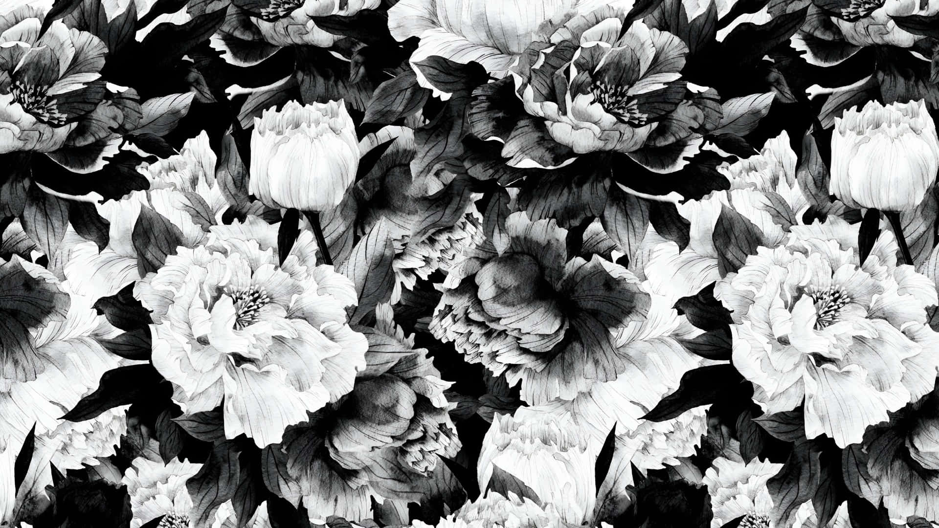 Elegancia Floral En Blanco Y Negro Fondo de pantalla