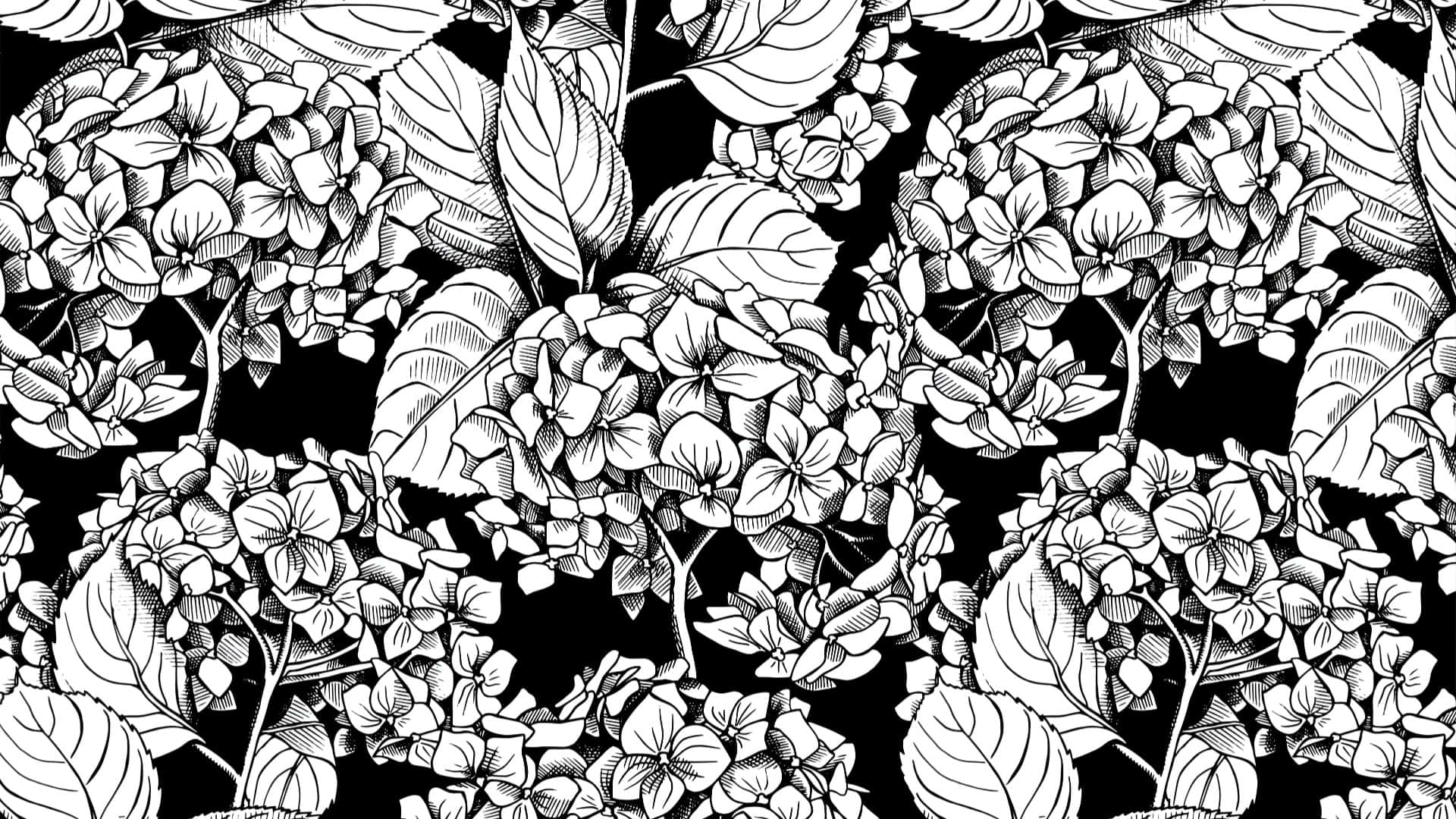 Black And White Floral Pattern Wallpaper