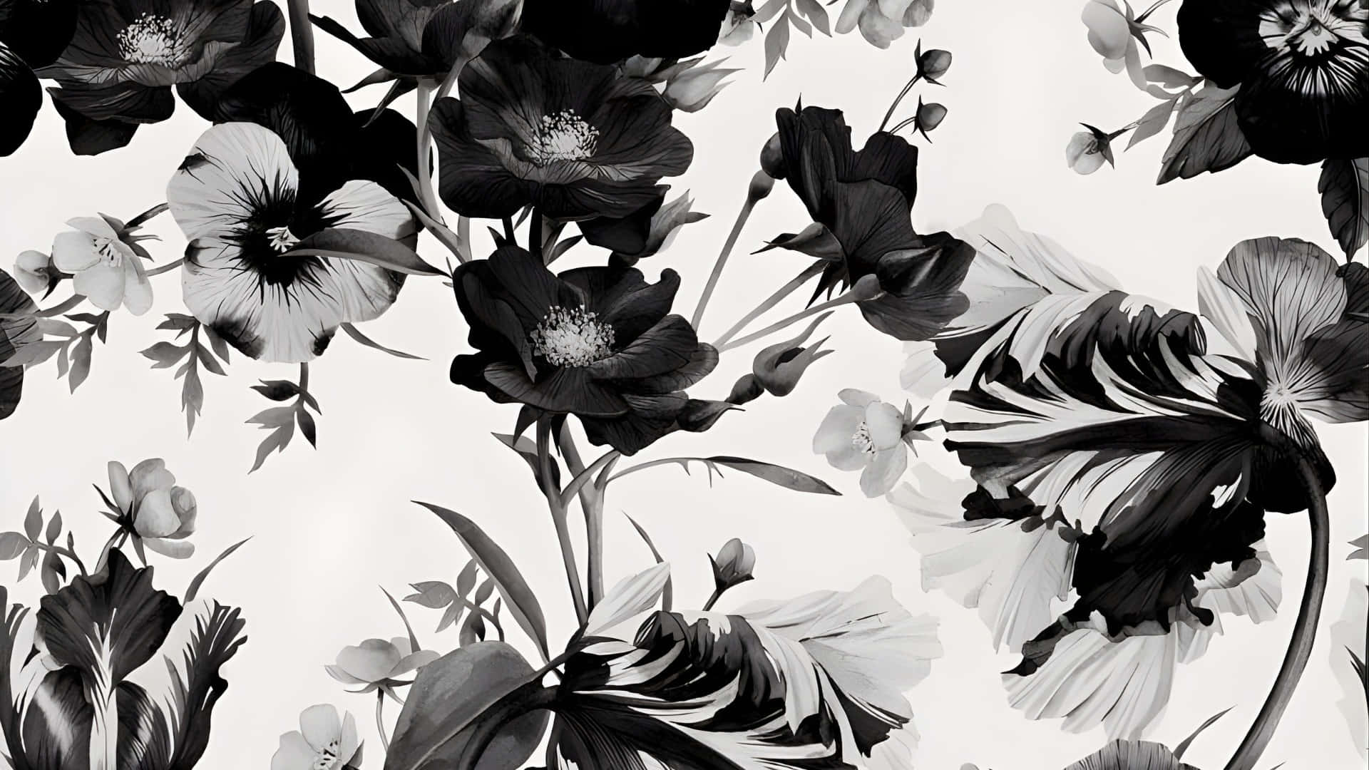 Patrón Floral En Blanco Y Negro Fondo de pantalla