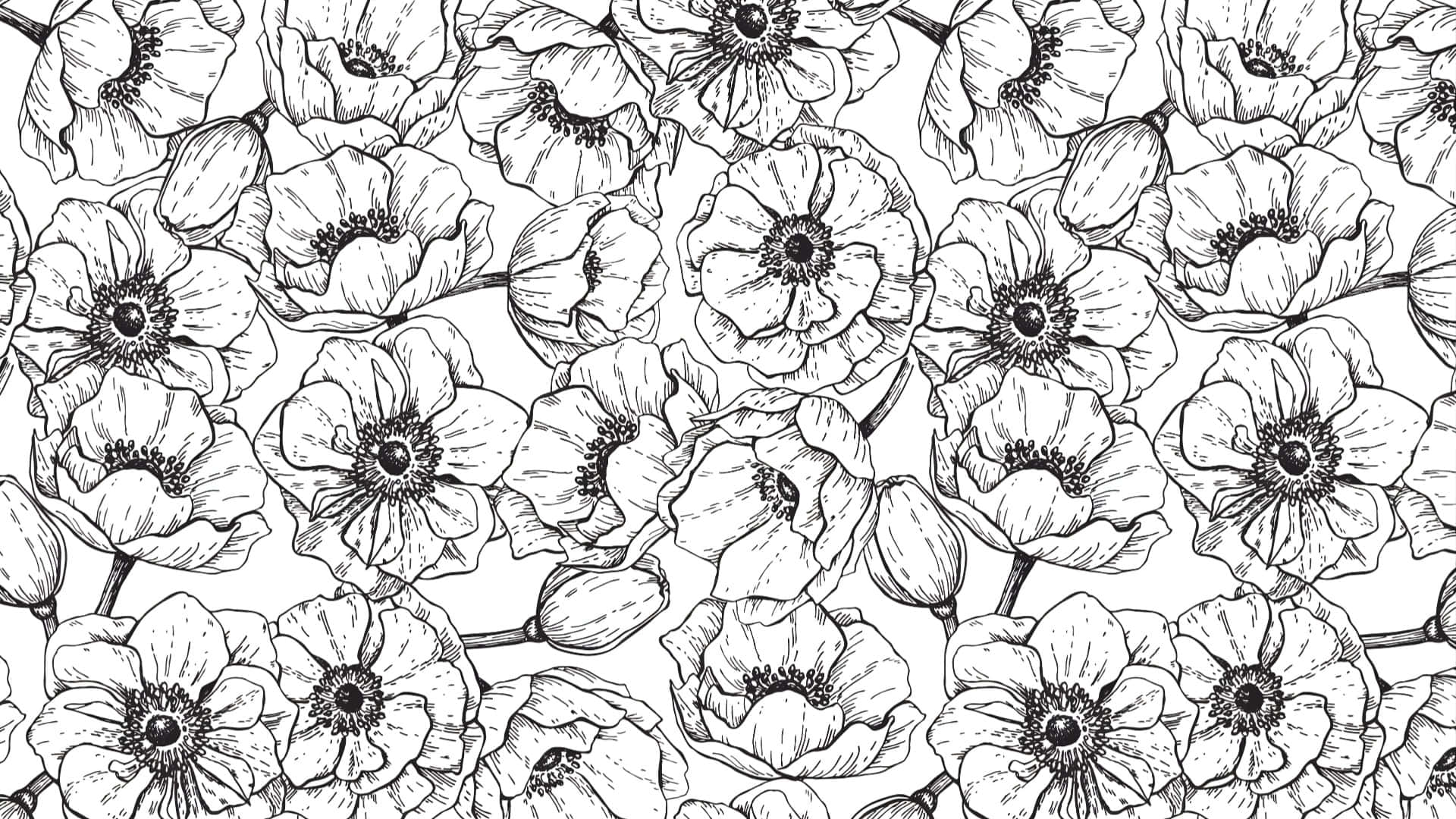 Patrón Floral En Blanco Y Negro Fondo de pantalla