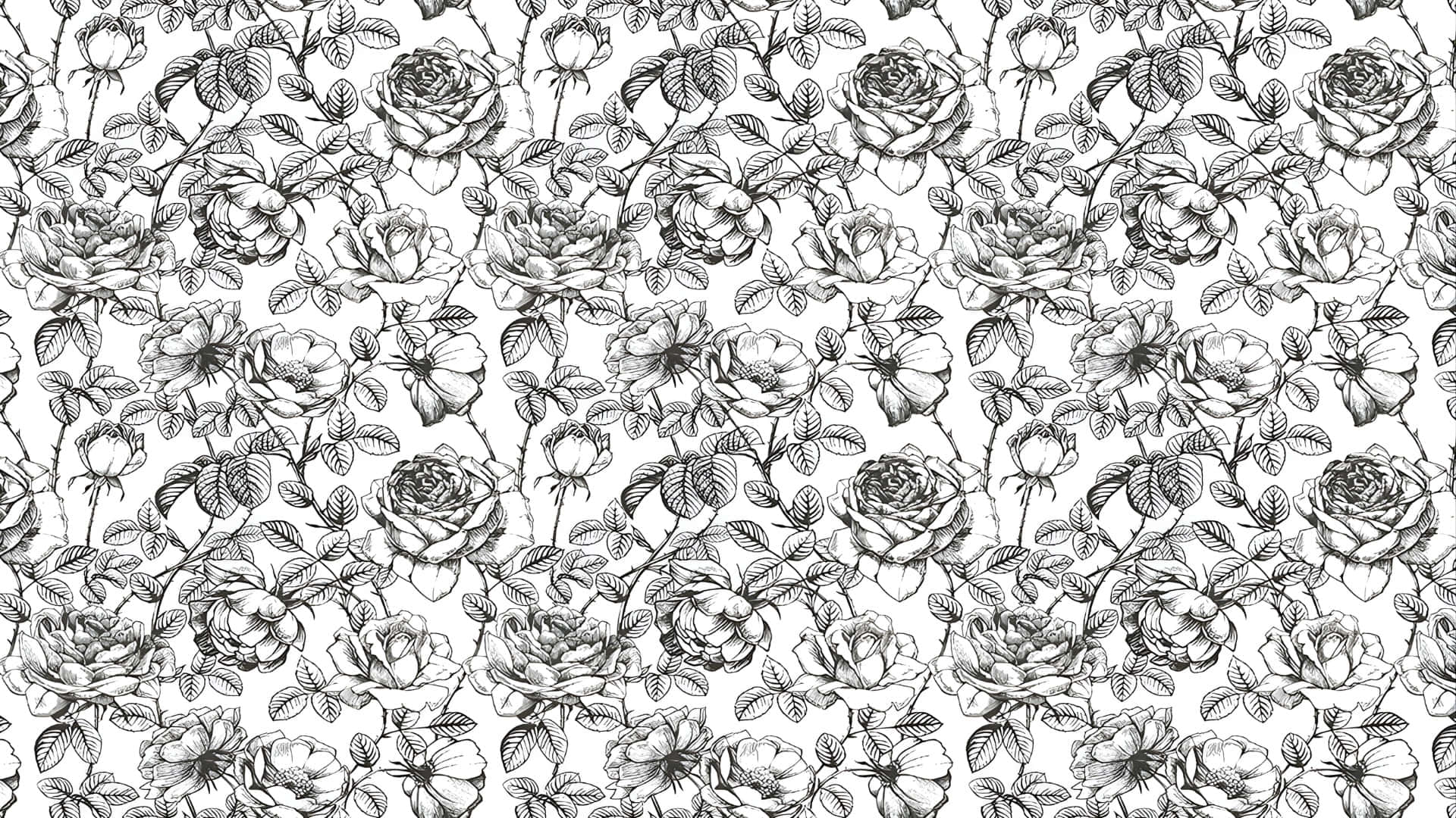 Patrón Floral En Blanco Y Negro Fondo de pantalla