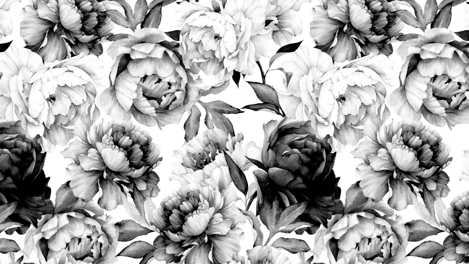 Patrón Floral En Blanco Y Negro Fondo de pantalla