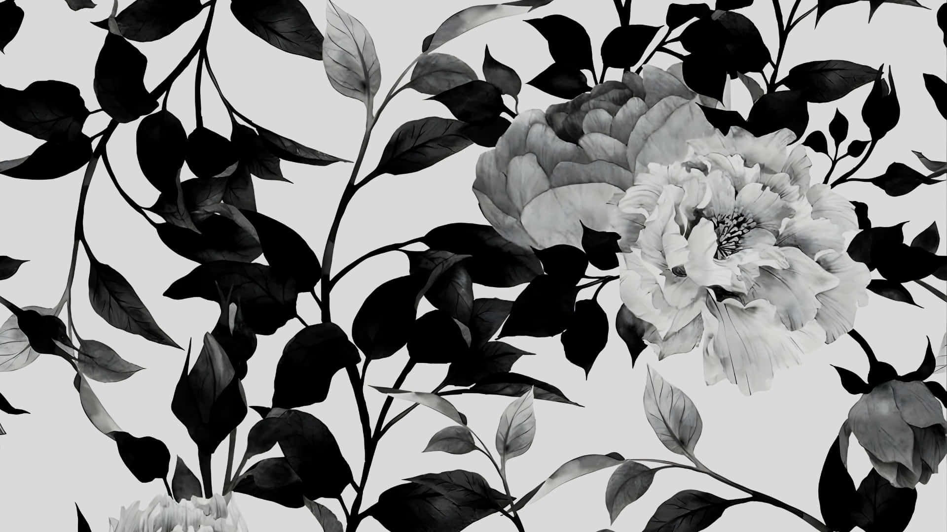 Patrón Floral En Blanco Y Negro Fondo de pantalla