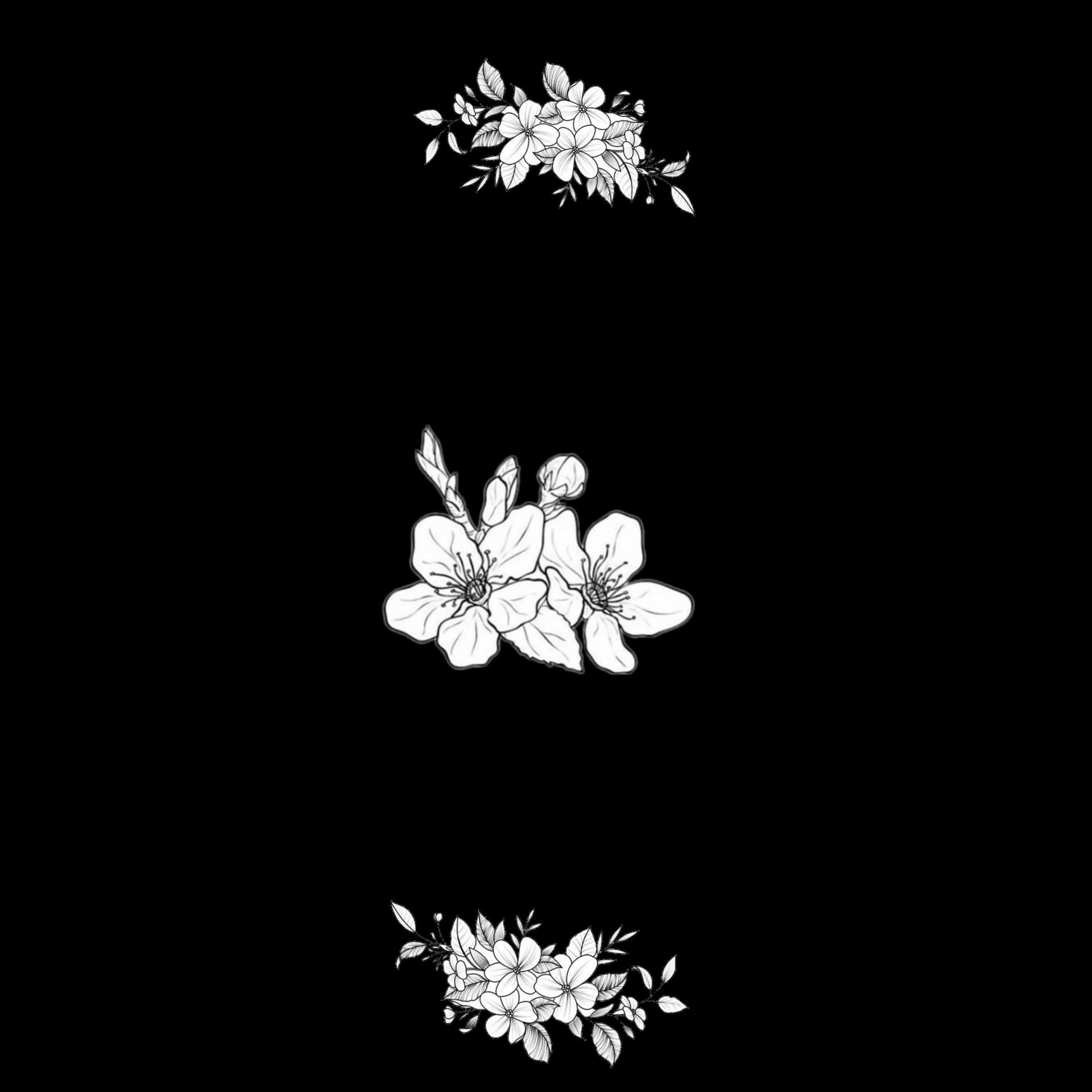 A Black Background With White Flowers On It