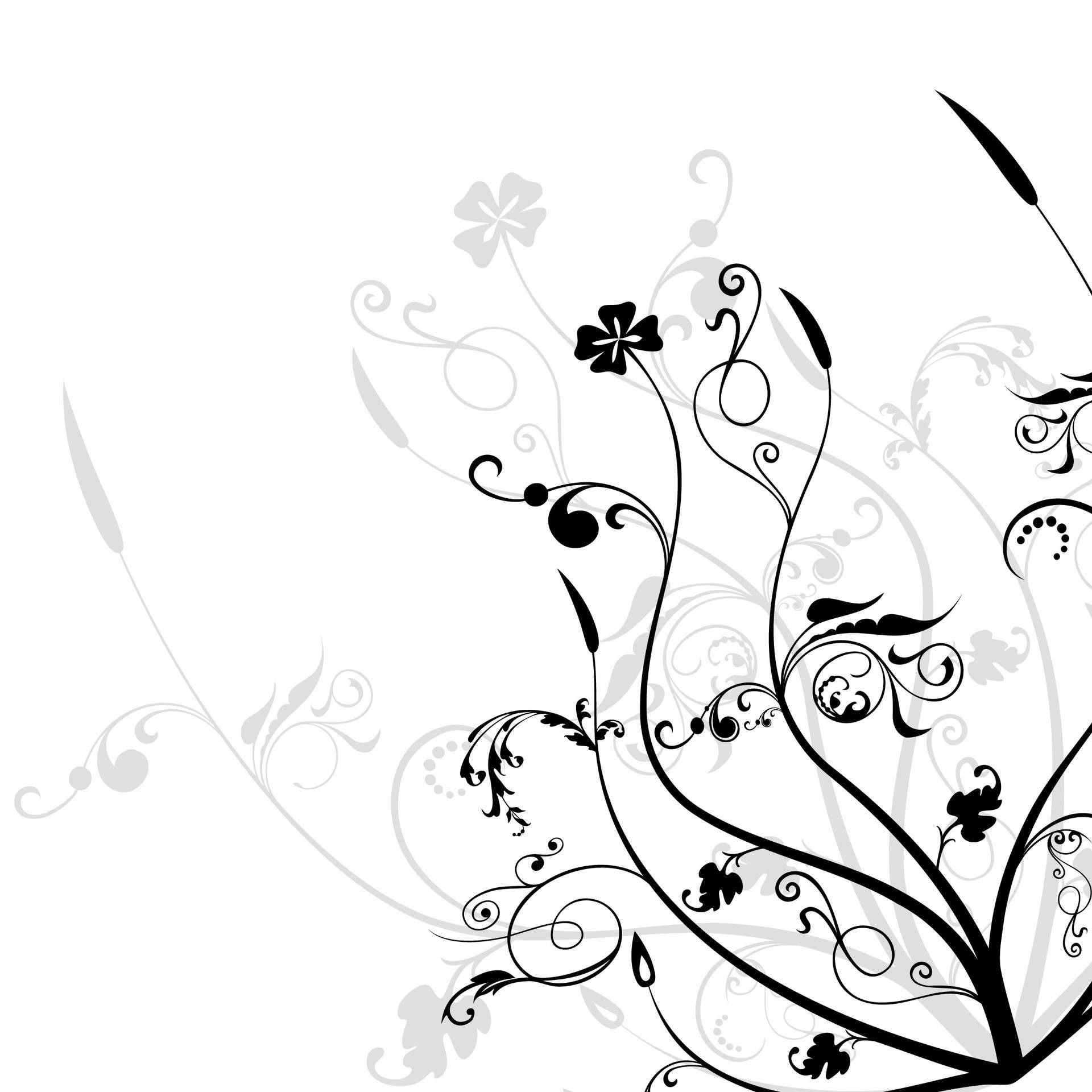 Black And White Flower 2D Artwork Stems Wallpaper