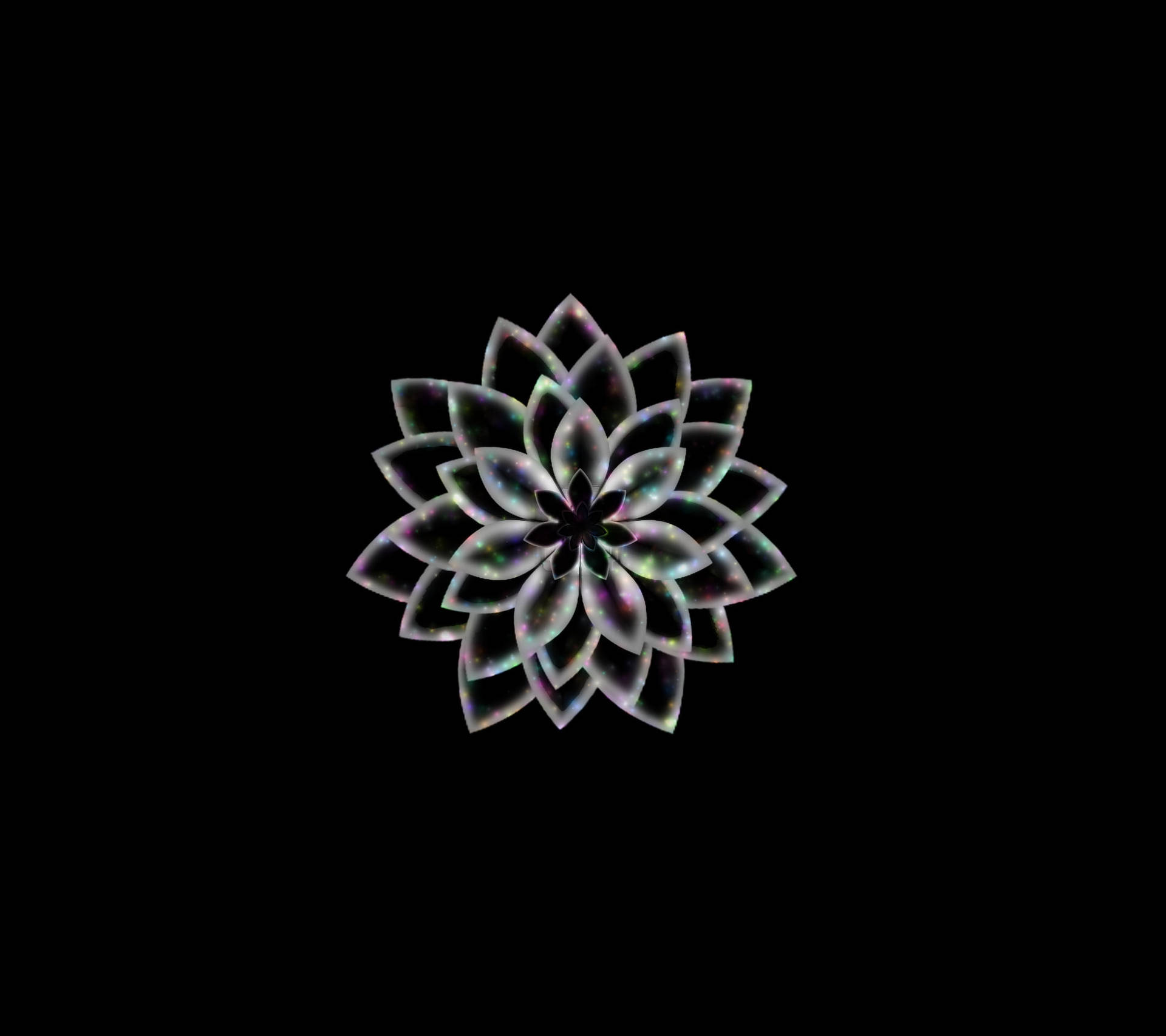 Schwarzeund Weiße Blumen-abstraktion Wallpaper