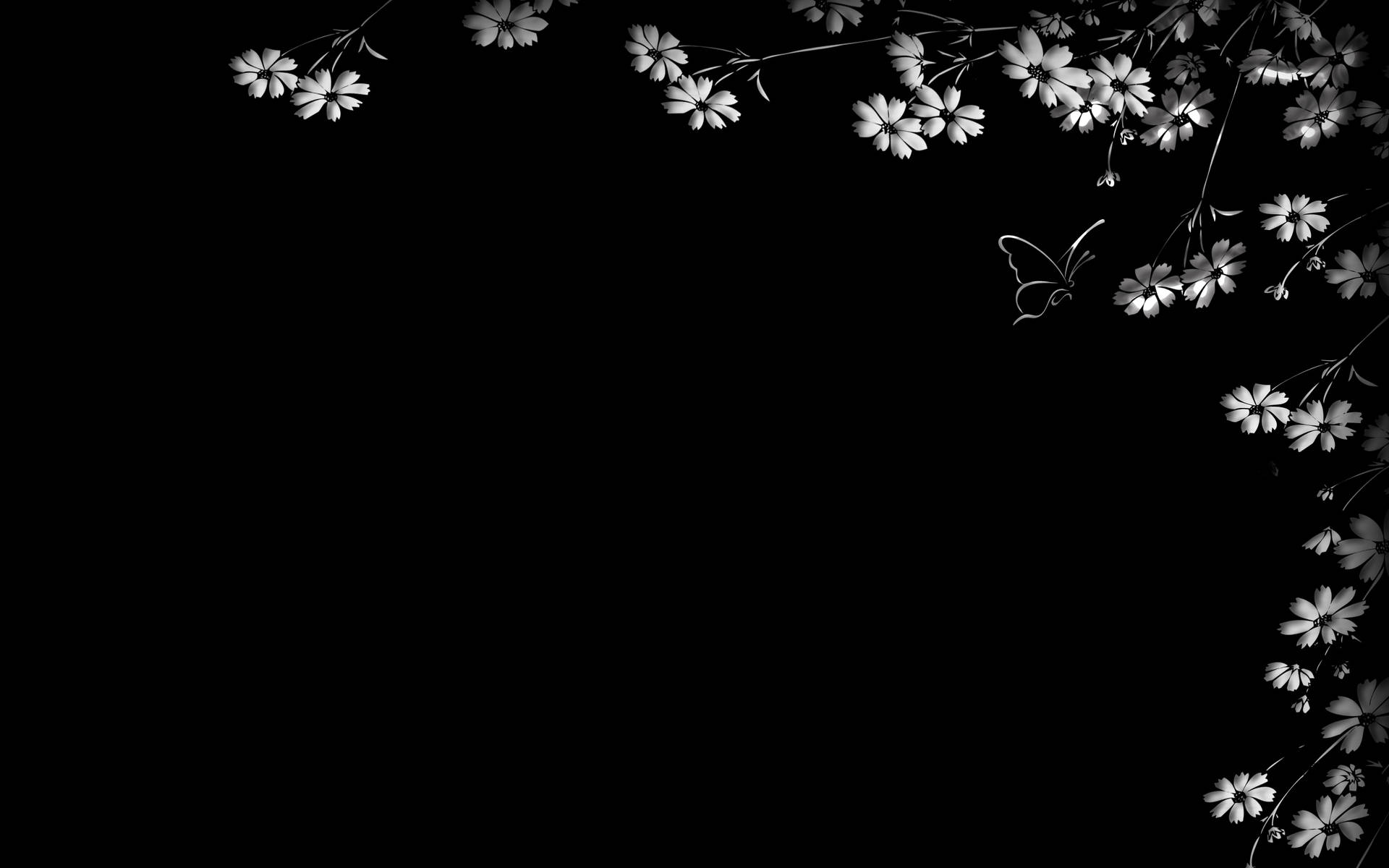 Fondode Pantalla De Flores Y Mariposas En Blanco Y Negro. Fondo de pantalla
