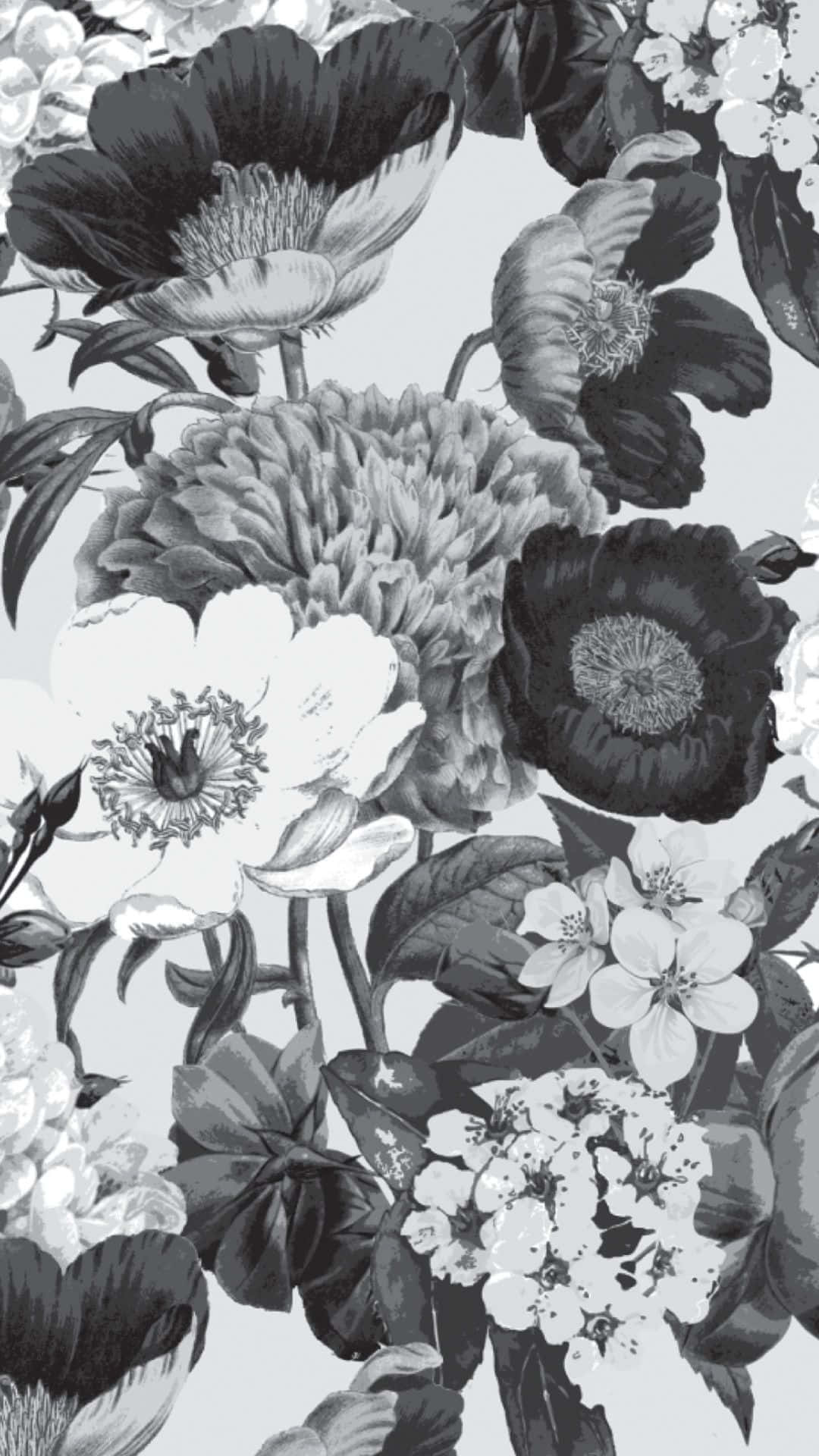 Et smukt sort og hvidt blomster til din iPhone Wallpaper