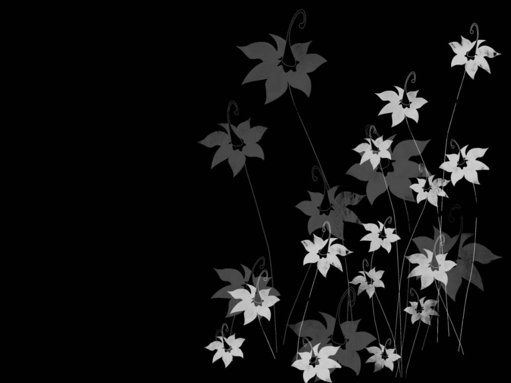Schwarzweiße Blume, Nach Außen Zeigend Wallpaper