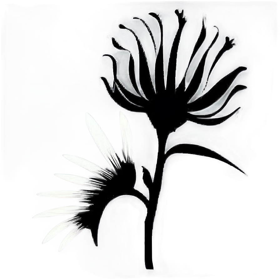 Black And White Flower Silhouette Png Tya96 PNG