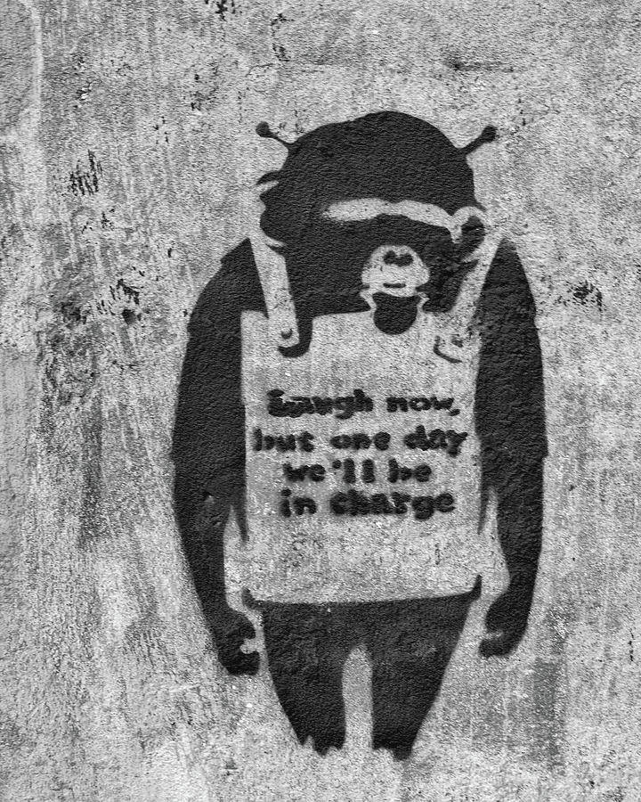 Macacode Grafite Em Preto E Branco Rindo Agora, Por Banksy. Papel de Parede