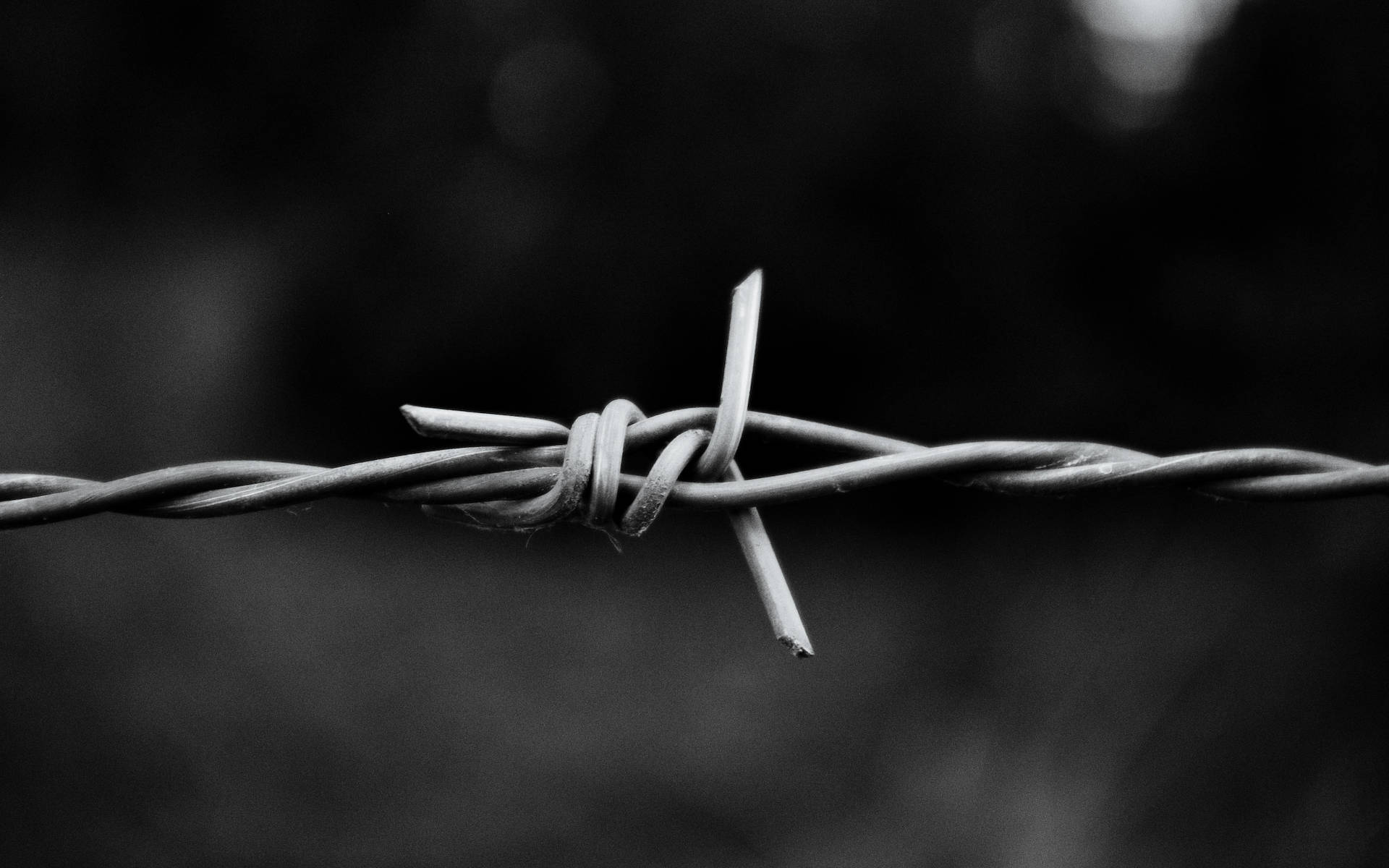 Black And White Hd Barbed Wire Wallpaper