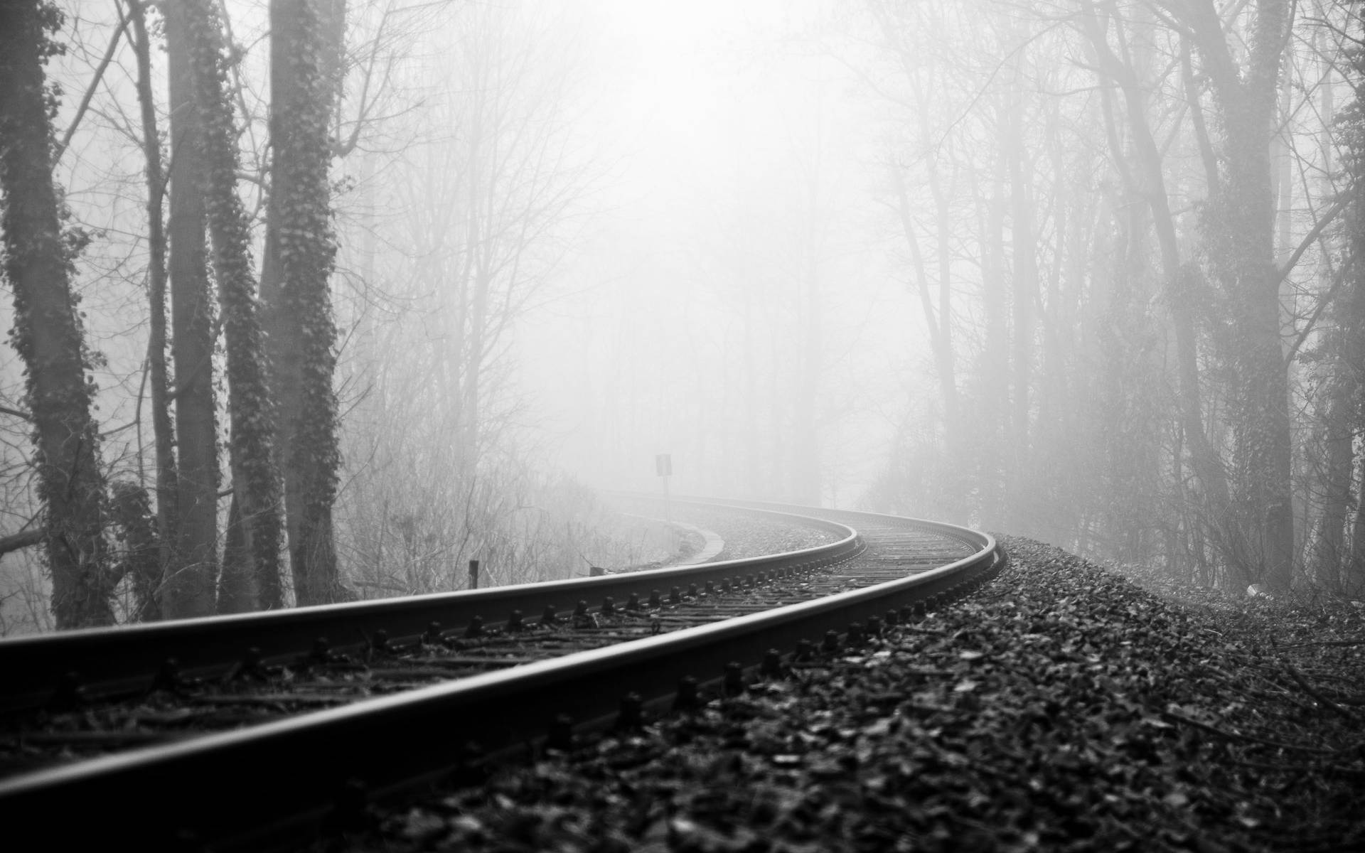 Black And White Hd Railway In The Forest Wallpaper