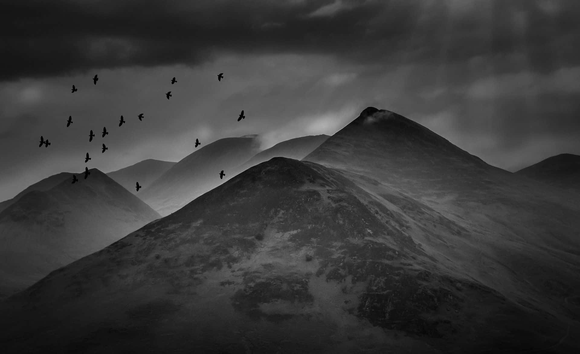 Black And White Hills Mountains Birds Wallpaper