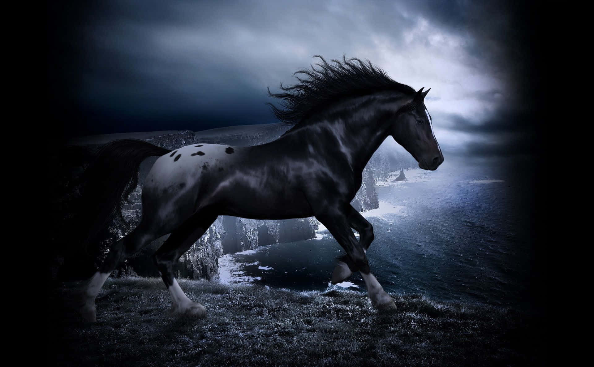 Black And White Horse Dark Digital Art Picture