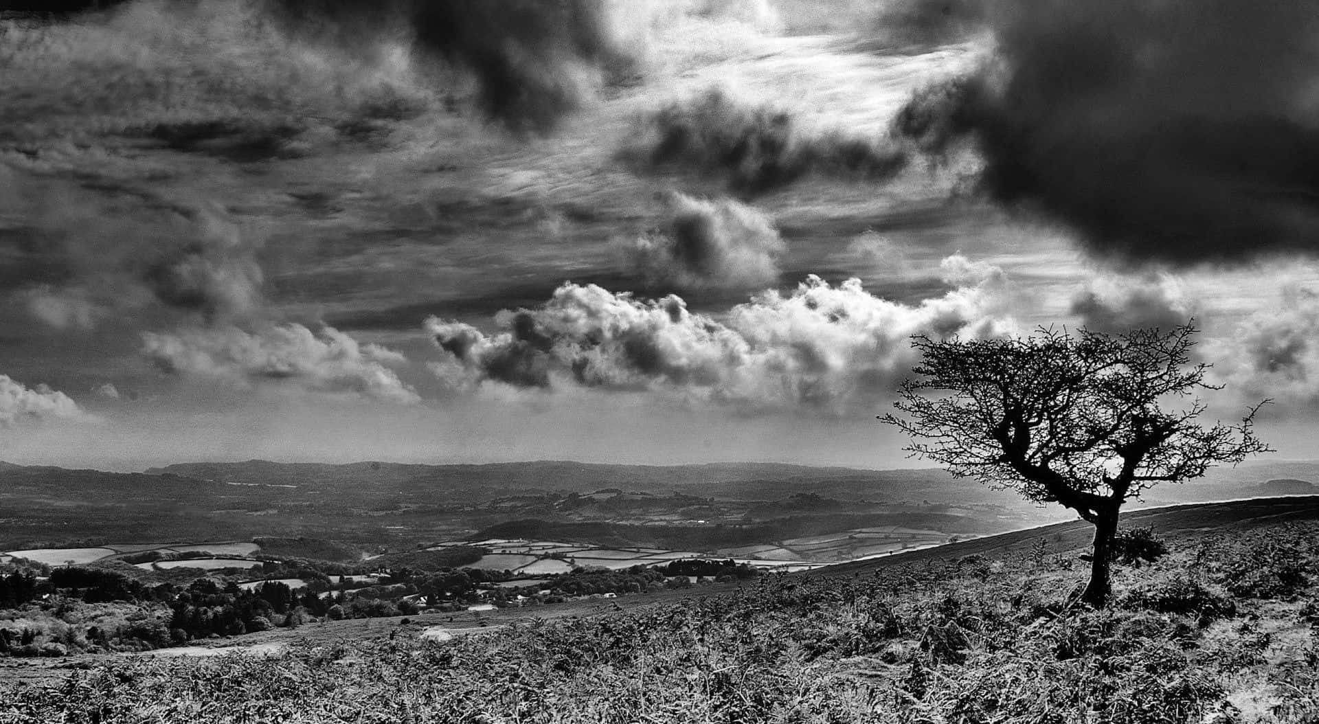 Impresionantefotografía De Paisajes En Blanco Y Negro Fondo de pantalla