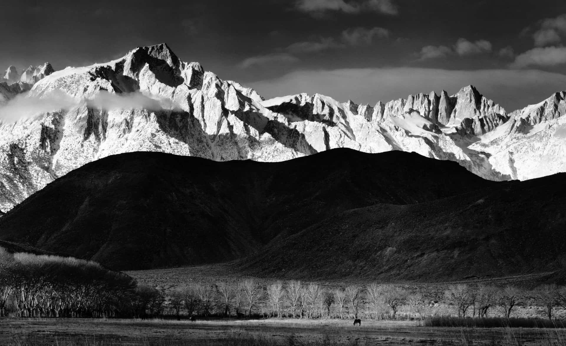 Download Captivating Black and White Landscape Photography Wallpaper ...