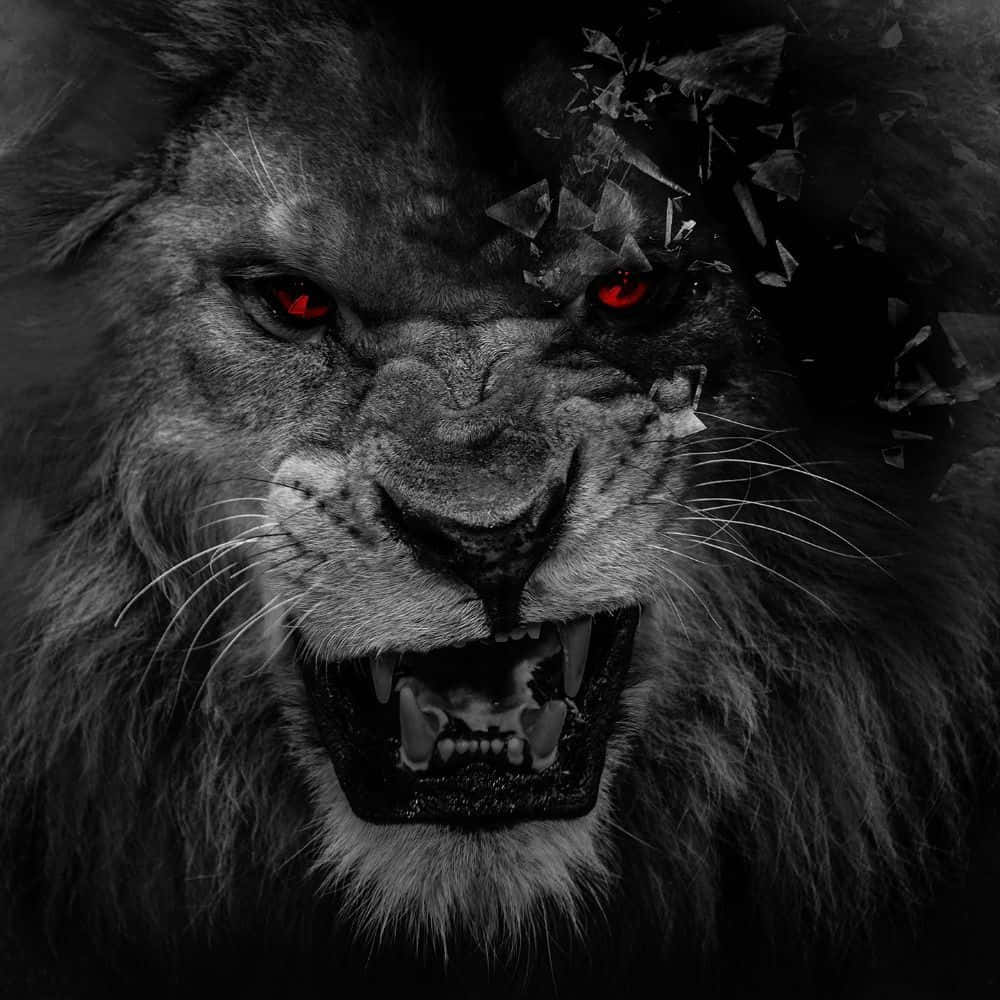 Red Eyes Black And White Lion Wallpaper