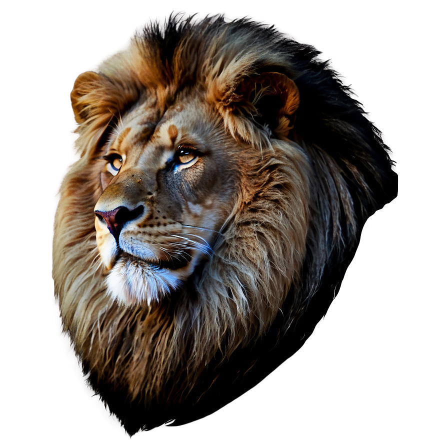 Black And White Lion Png Jdf PNG