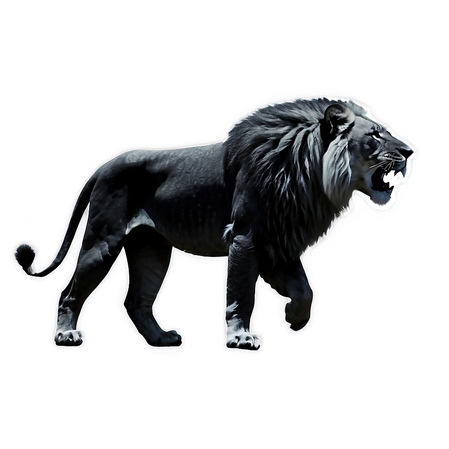 Black And White Lion Png Qer77 PNG