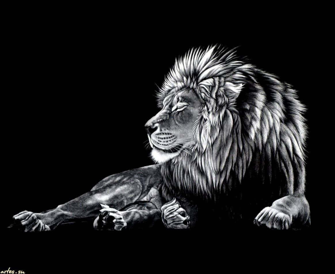 Cool Black And White Lion Sitting Wallpaper