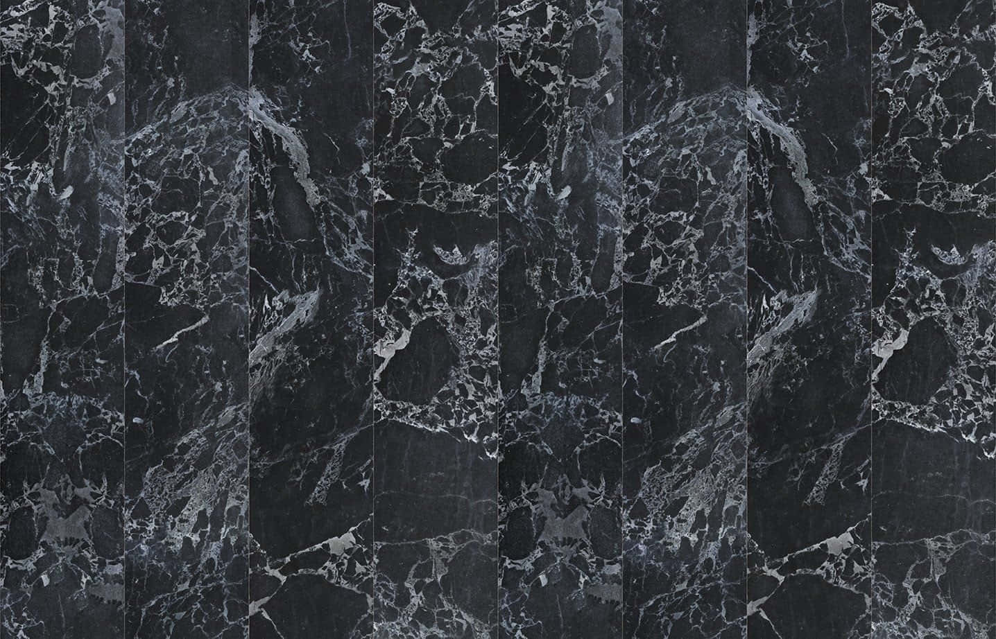 Sumptuous black and white marble pattern.