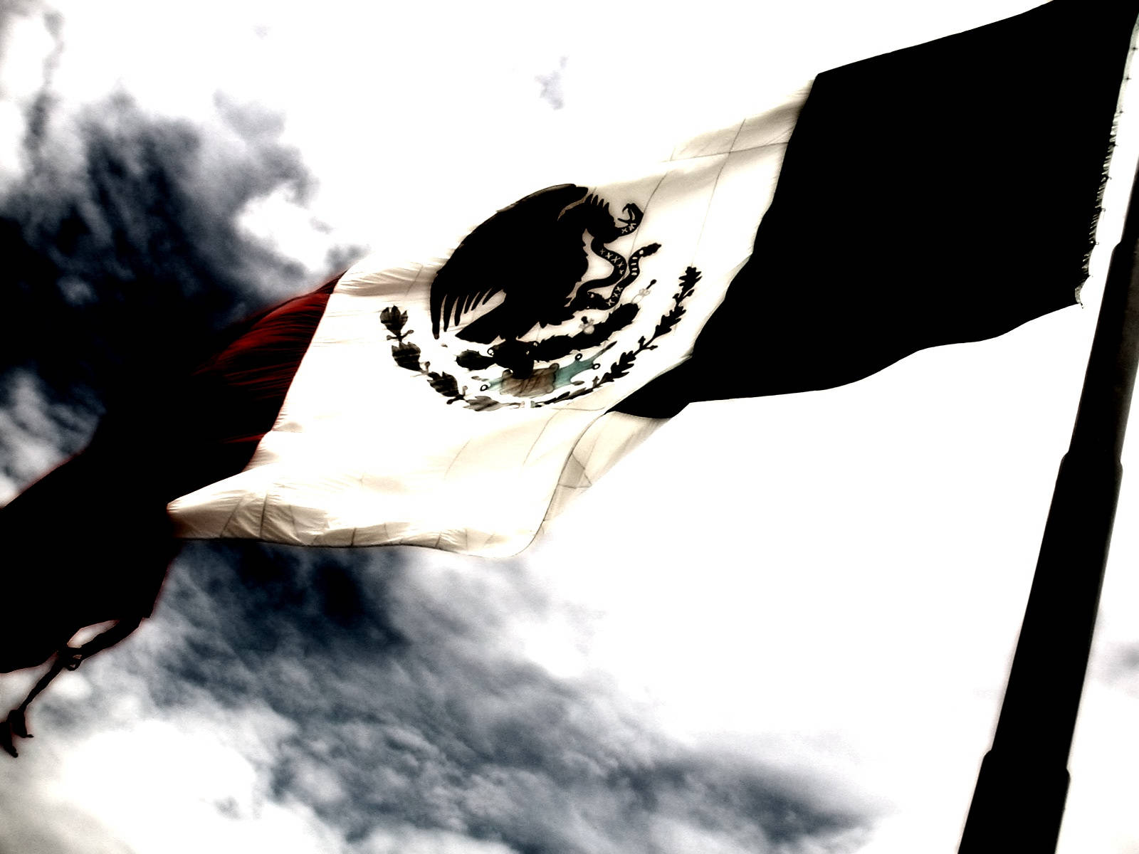 Bandiera Del Messico In Bianco E Nero Sfondo