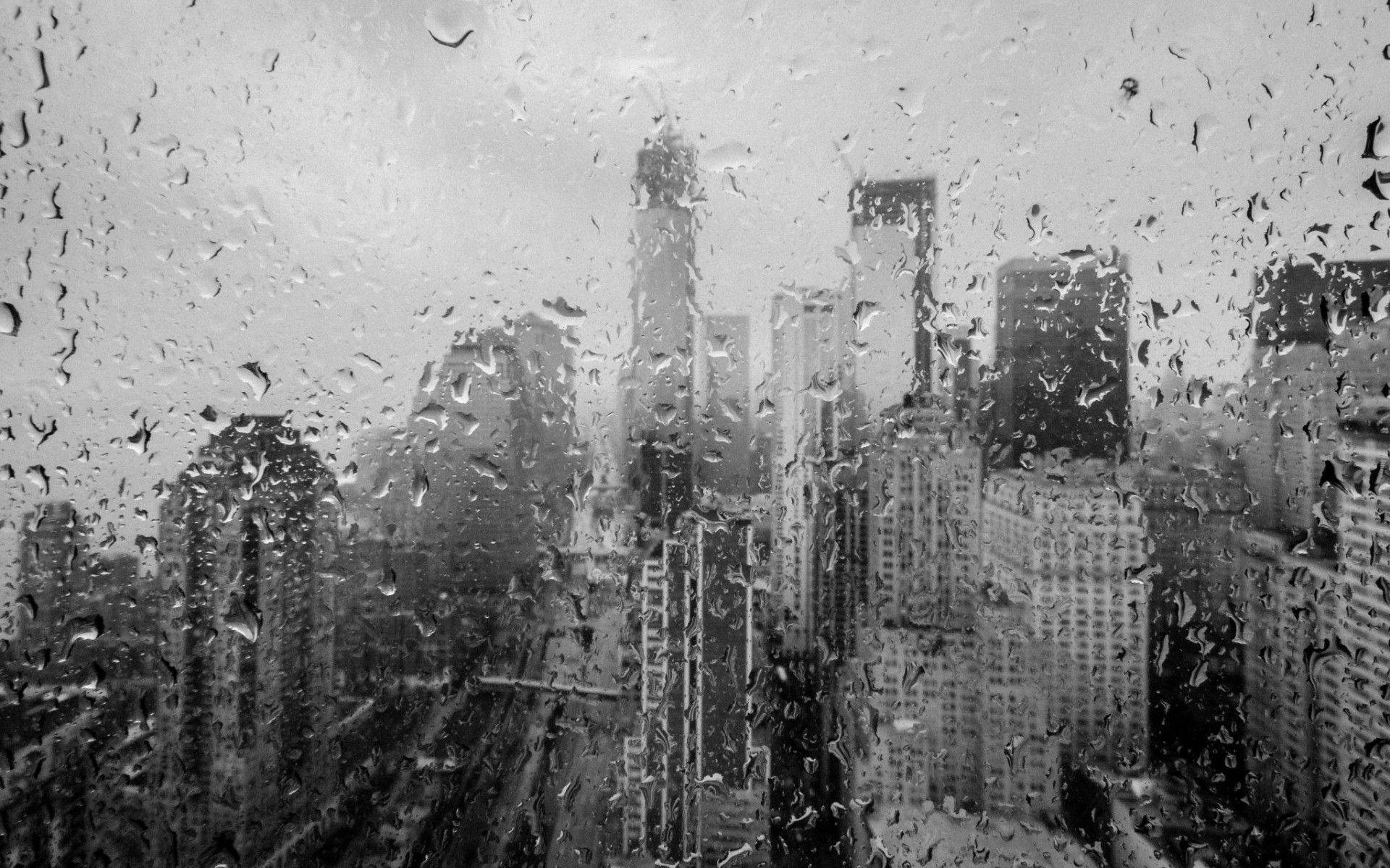 Black And White New York Rainy View Wallpaper