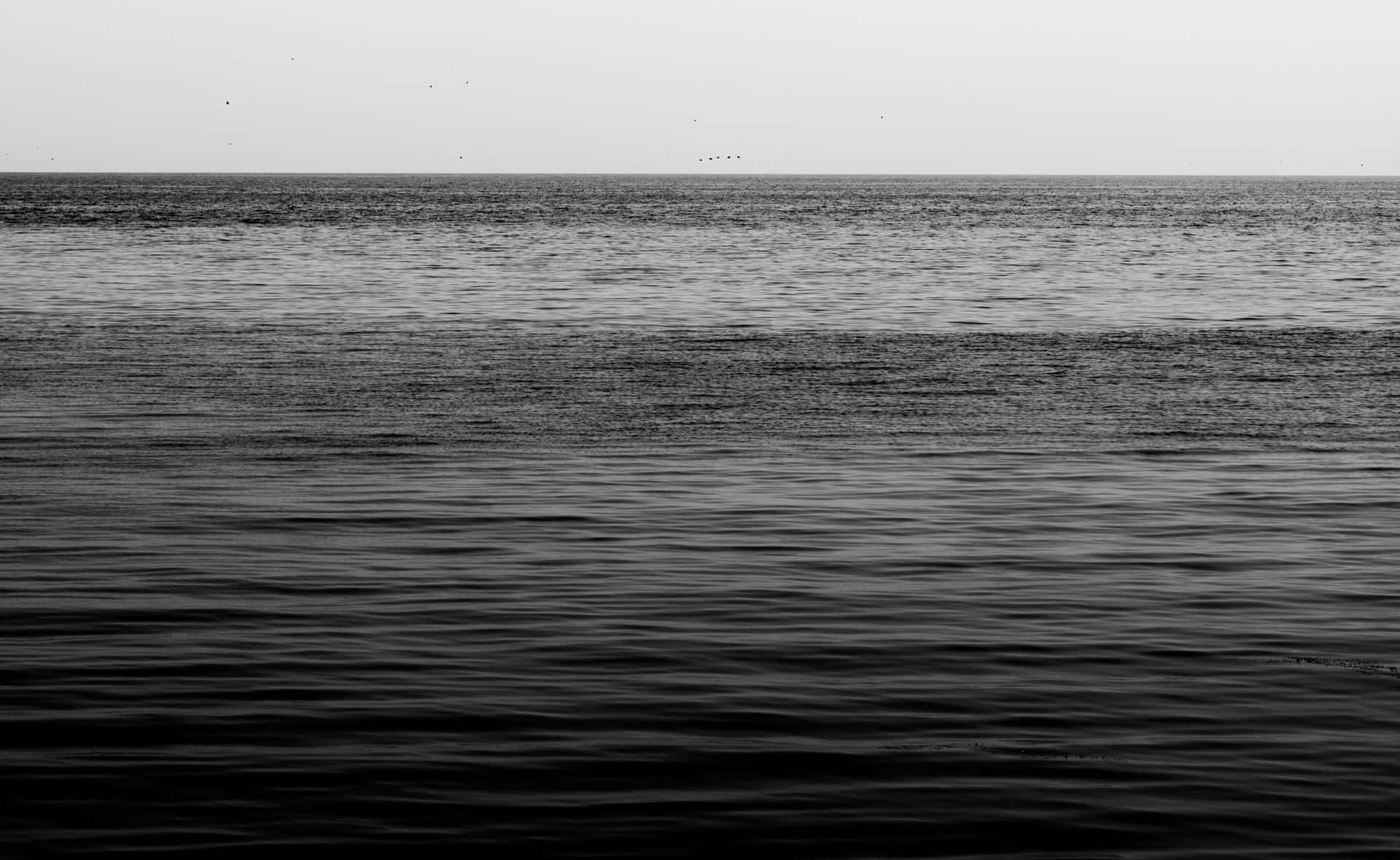 Download Majestic black and white ocean scene Wallpaper | Wallpapers.com