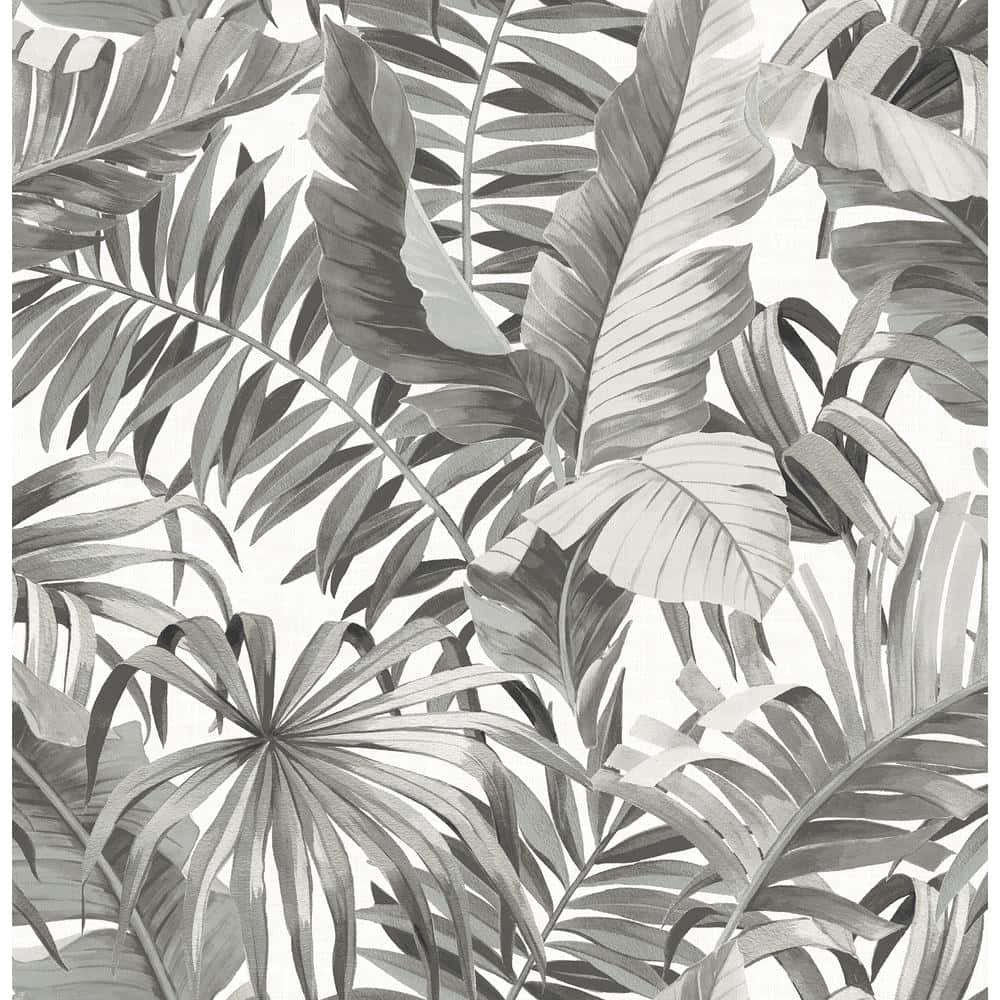 Envacker Svartvit Palmträdsbild. Wallpaper