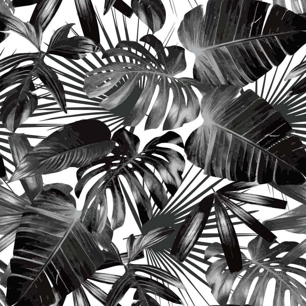 Black And White Palm Tree And Tropical Leaves Wallpaper