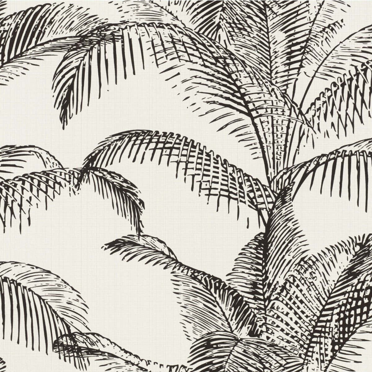 Black And White Palm Trees Line Art Wallpaper