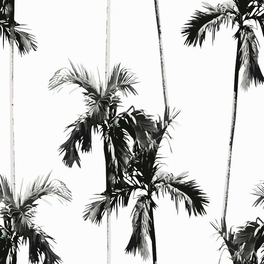 A Black And White Image Of Palm Trees Wallpaper