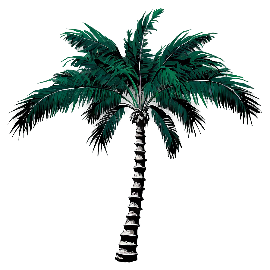 Black And White Palm Tree Png 53 PNG