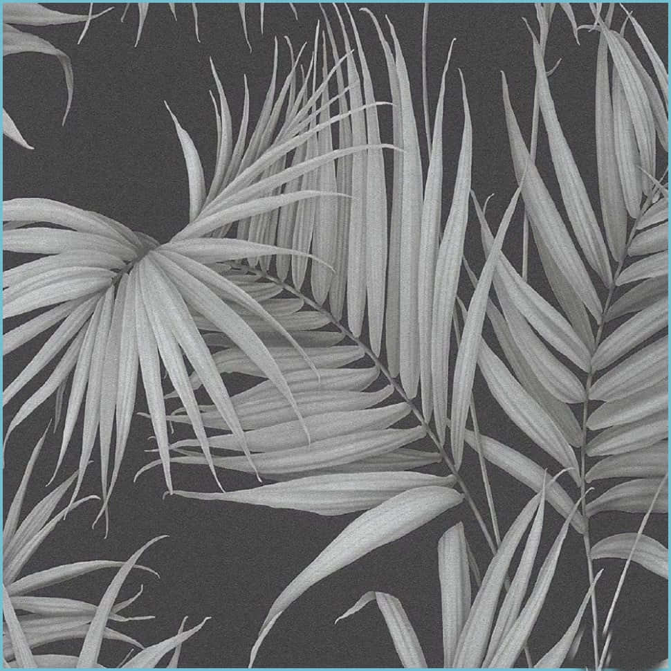 Black And White Palm Tree Leaves Wallpaper