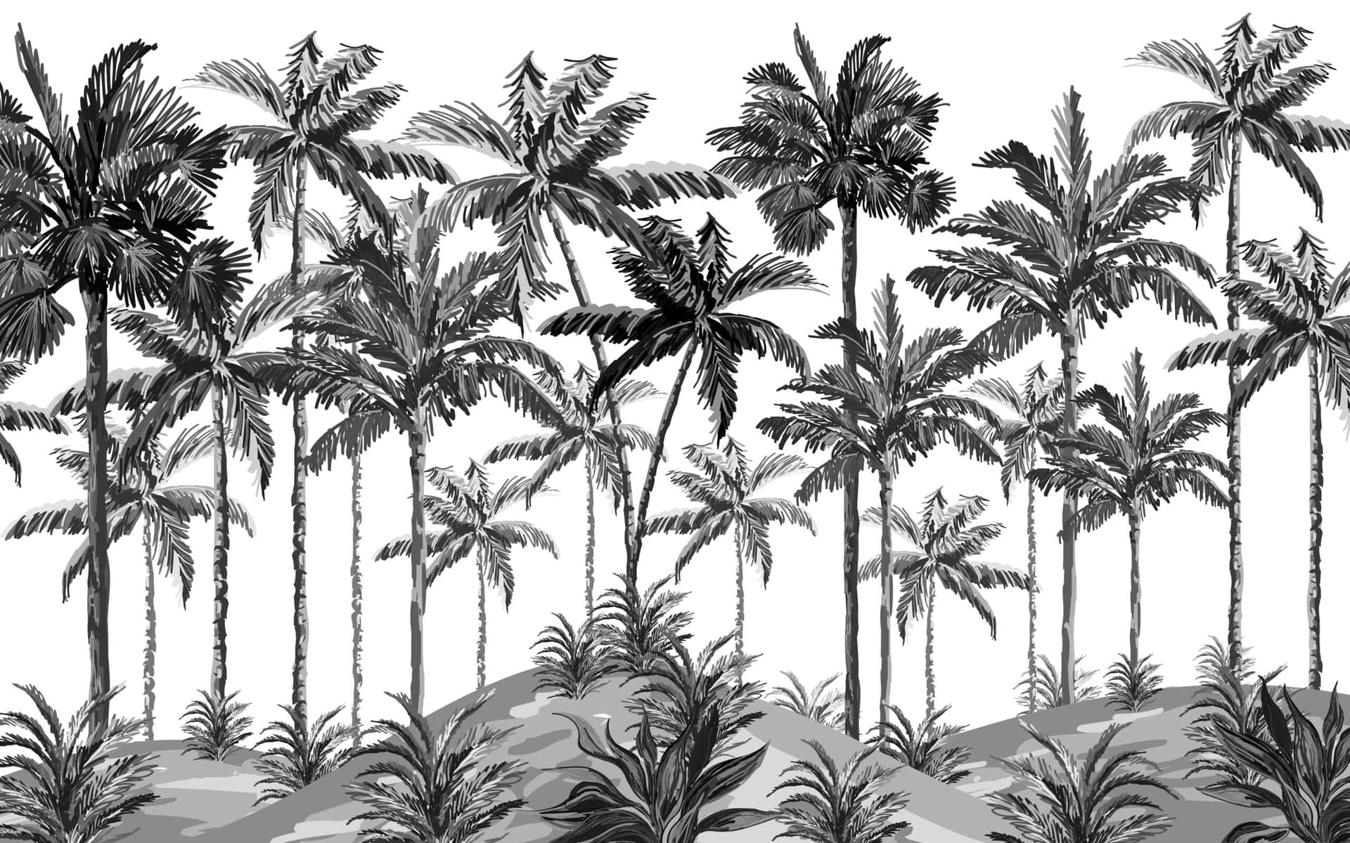 A stark contrast between black and white casts a cool and calming palm tree silhouette Wallpaper
