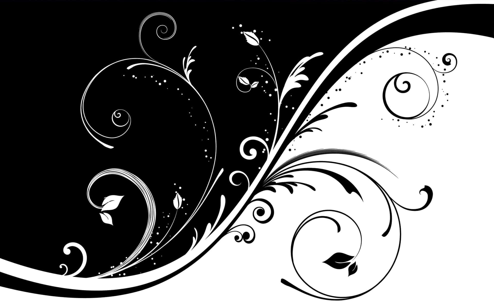 Black And White Floral Design Vector Wallpaper