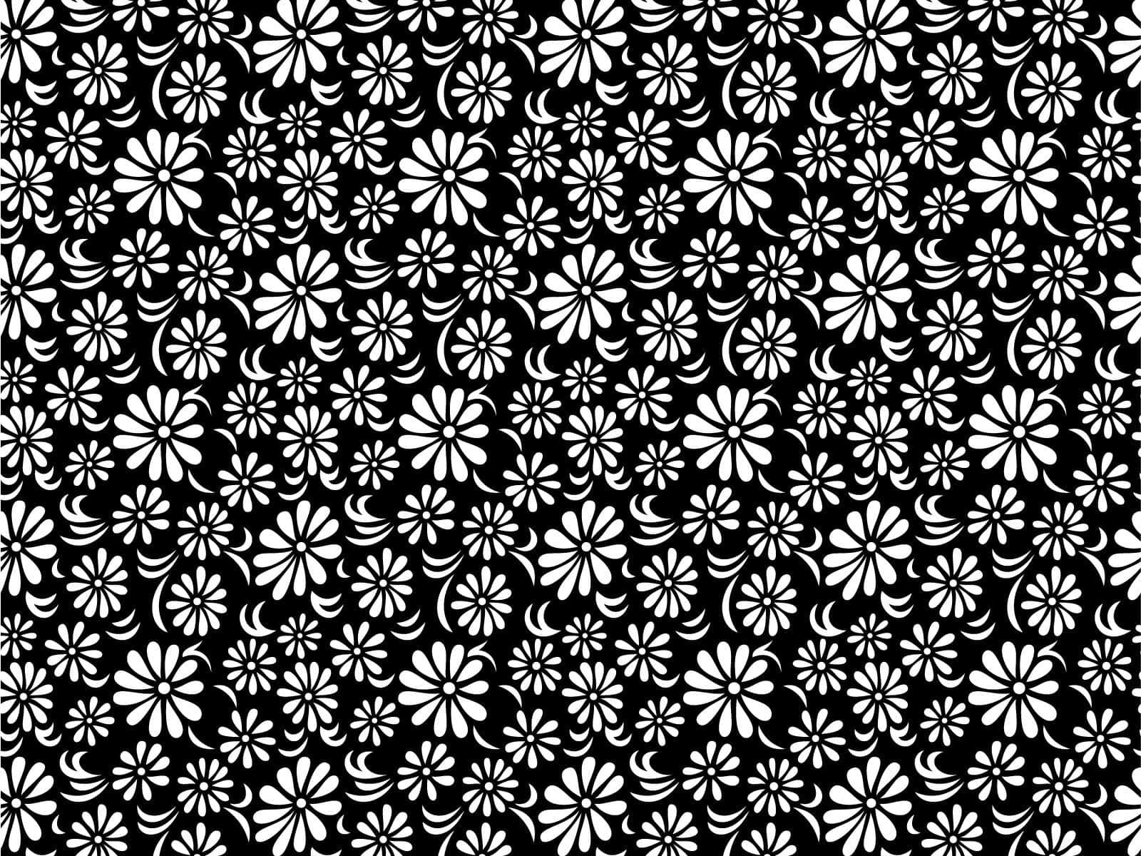 Et indviklet sort og hvidt mønster af former og symboler. Wallpaper