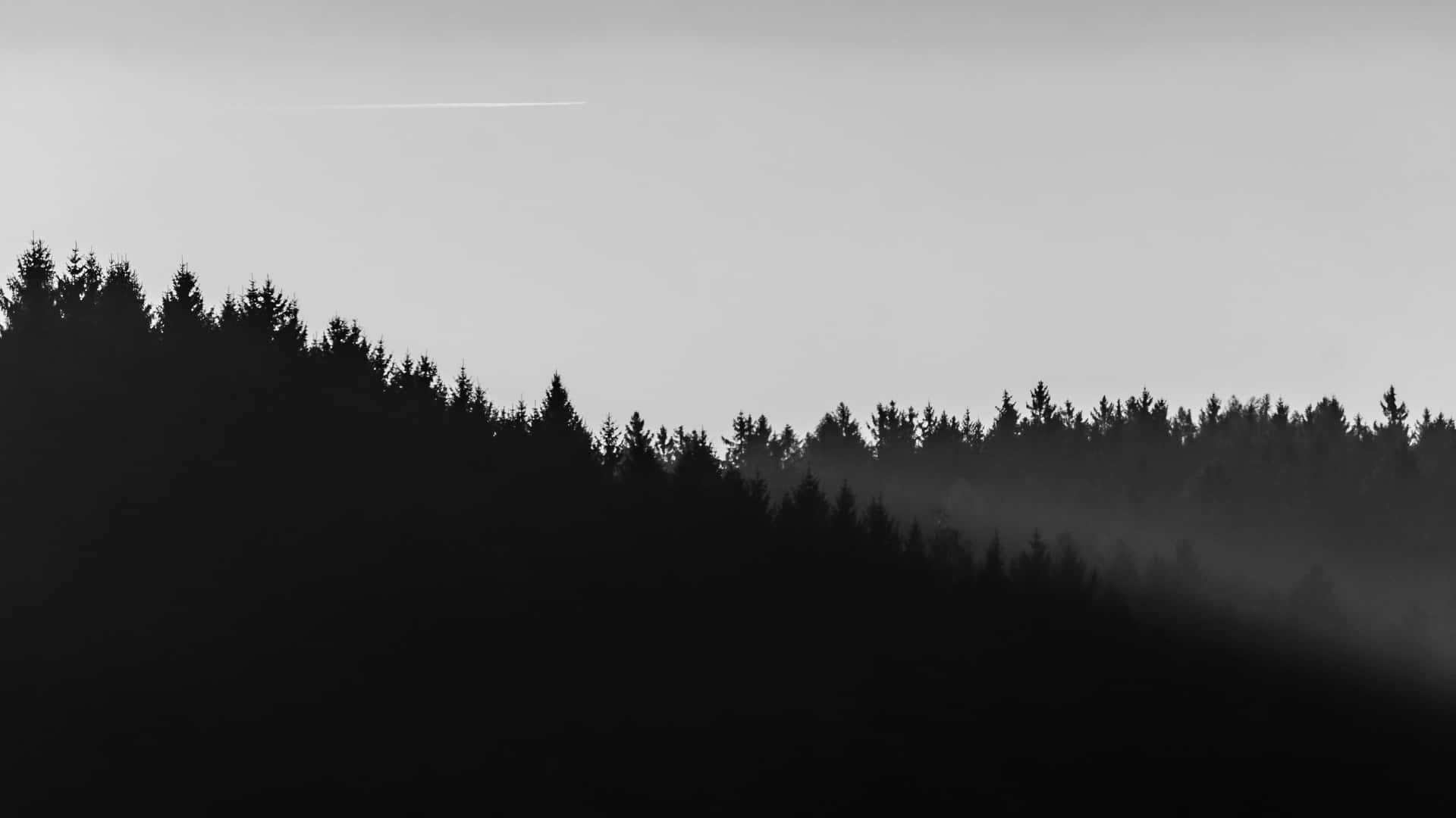 En sort-hvid foto af et bjerg med træer Wallpaper