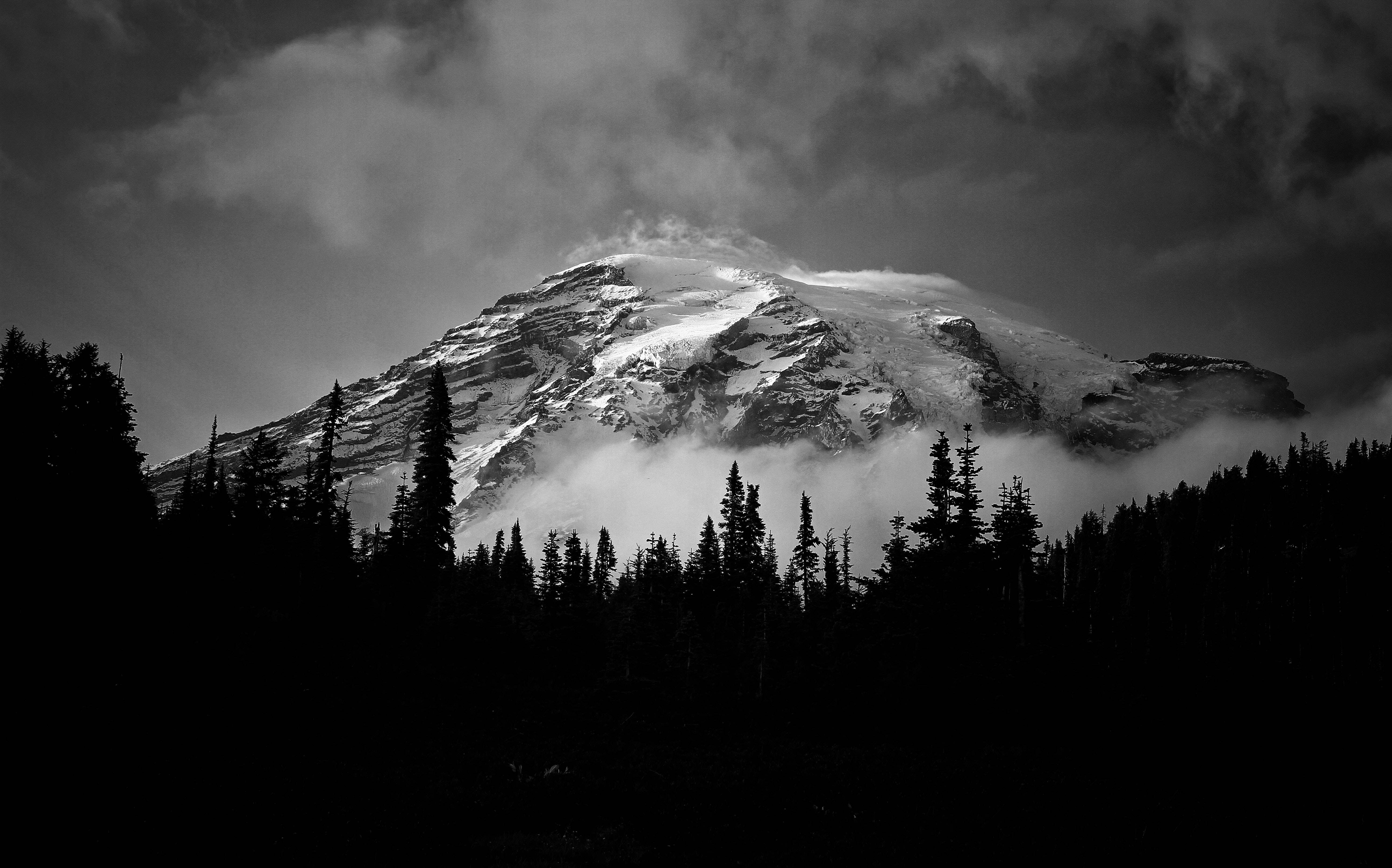 Black And White Photography Mountain And Forest Wallpaper