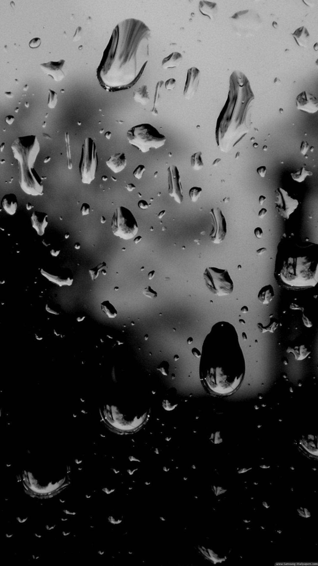Black And White Photography Rain Drops Wallpaper