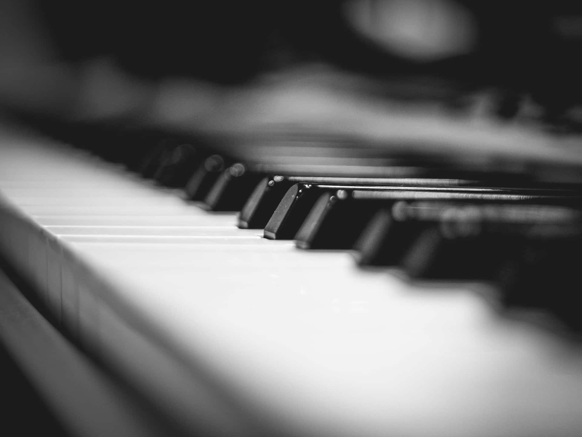 Black And White Piano Keyboard Musical Instrument Wallpaper