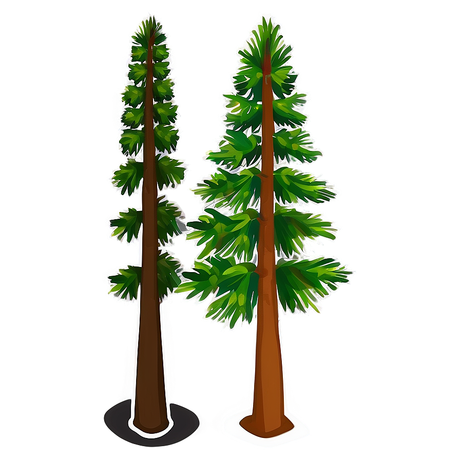 Black And White Pine Trees Png Eql69 PNG