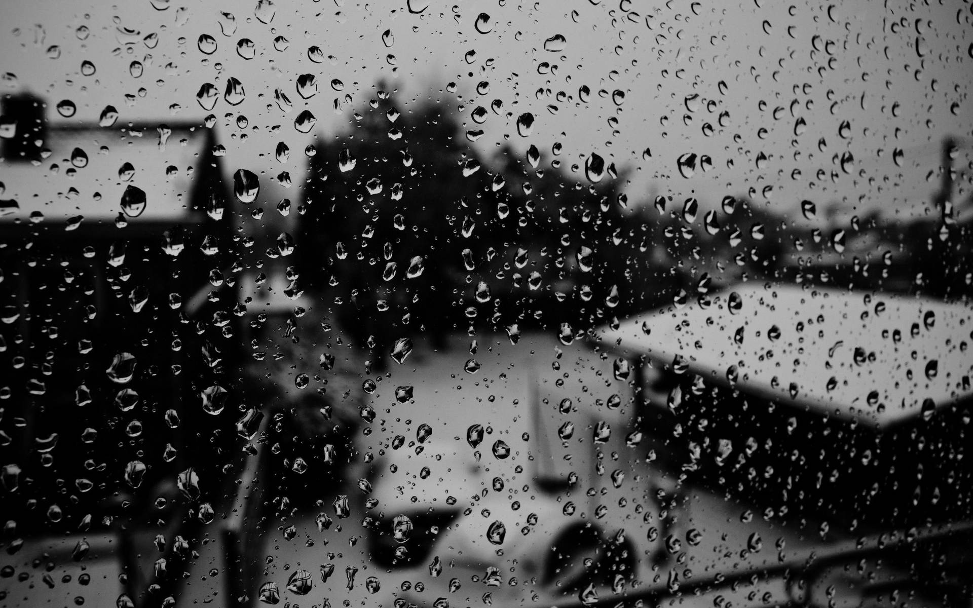 Schwarzeund Weiße Regentropfen Auf Einer Glasoberfläche Wallpaper