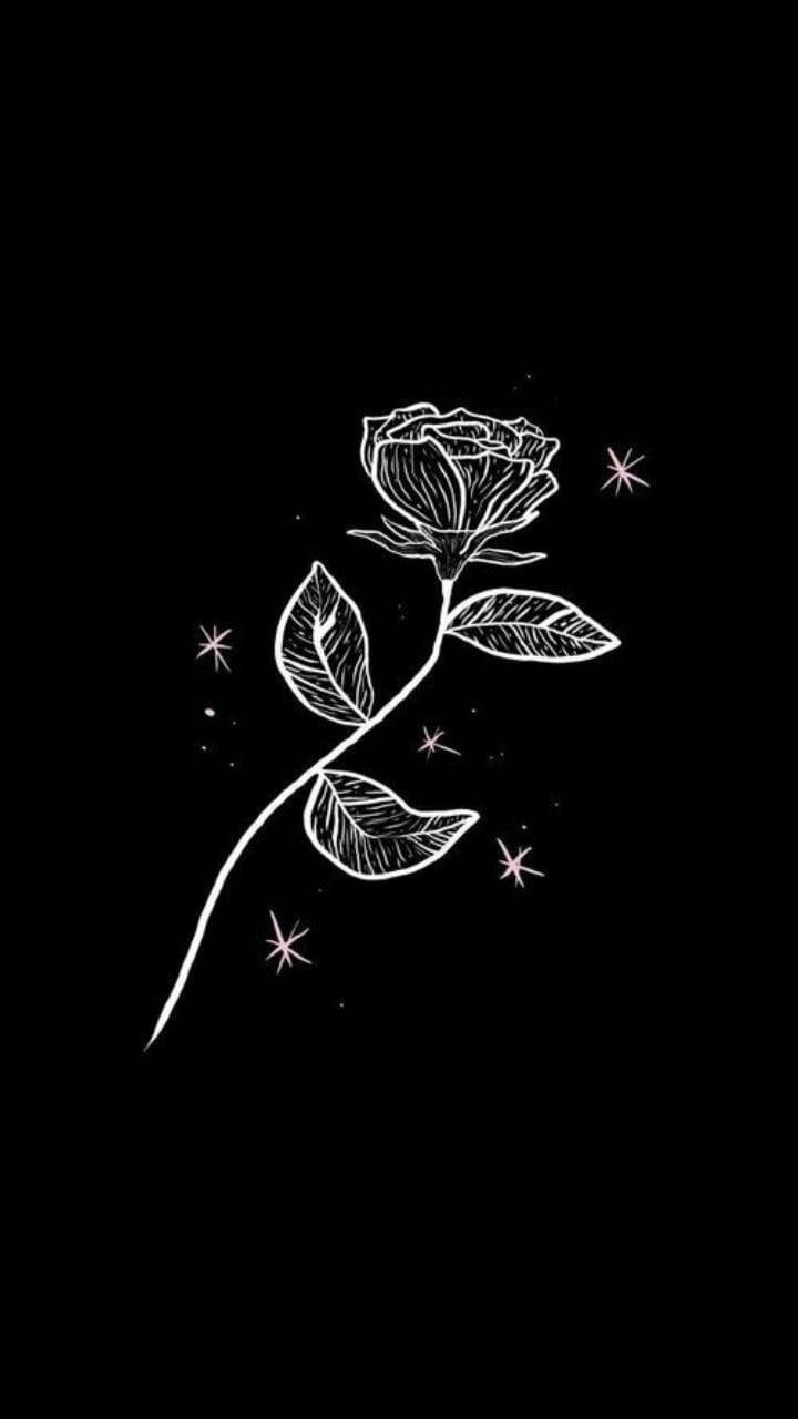 Black And White Rose Aesthetic Sketches Wallpaper