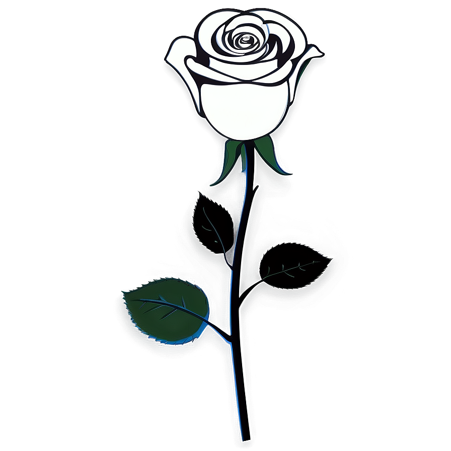 Black And White Rose Art Png 06132024 PNG