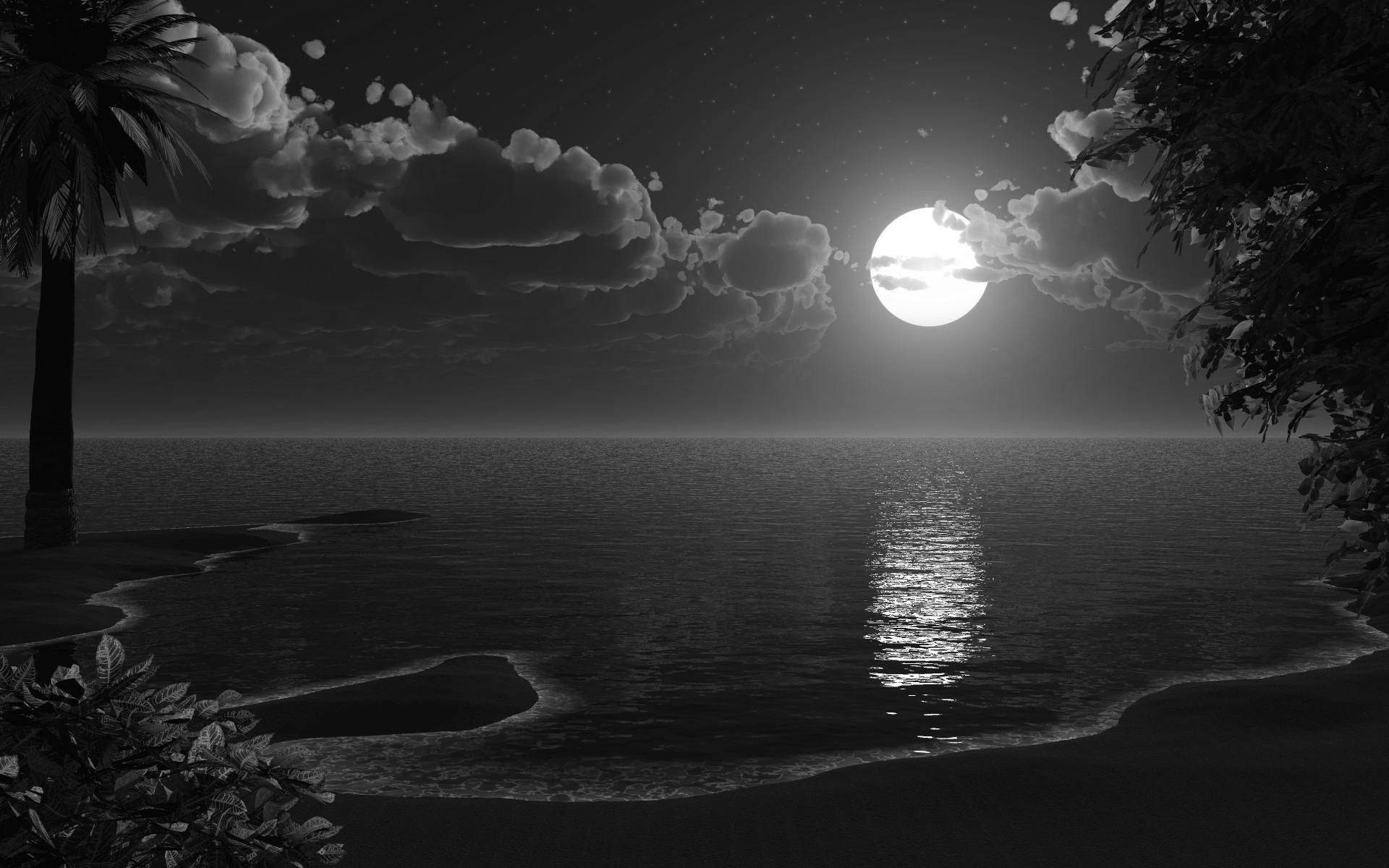 Download Black And White Scenery With The Moon Wallpaper 