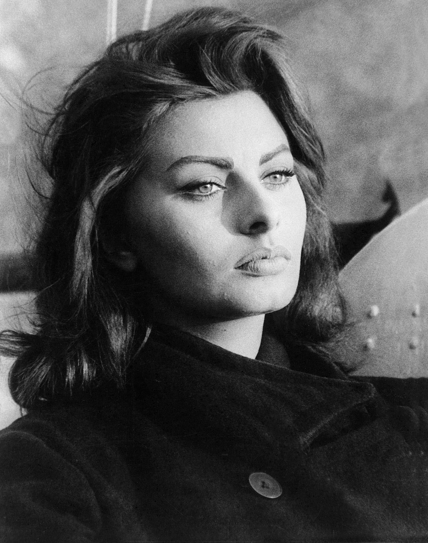 Svartoch Vit Sophia Loren. Wallpaper