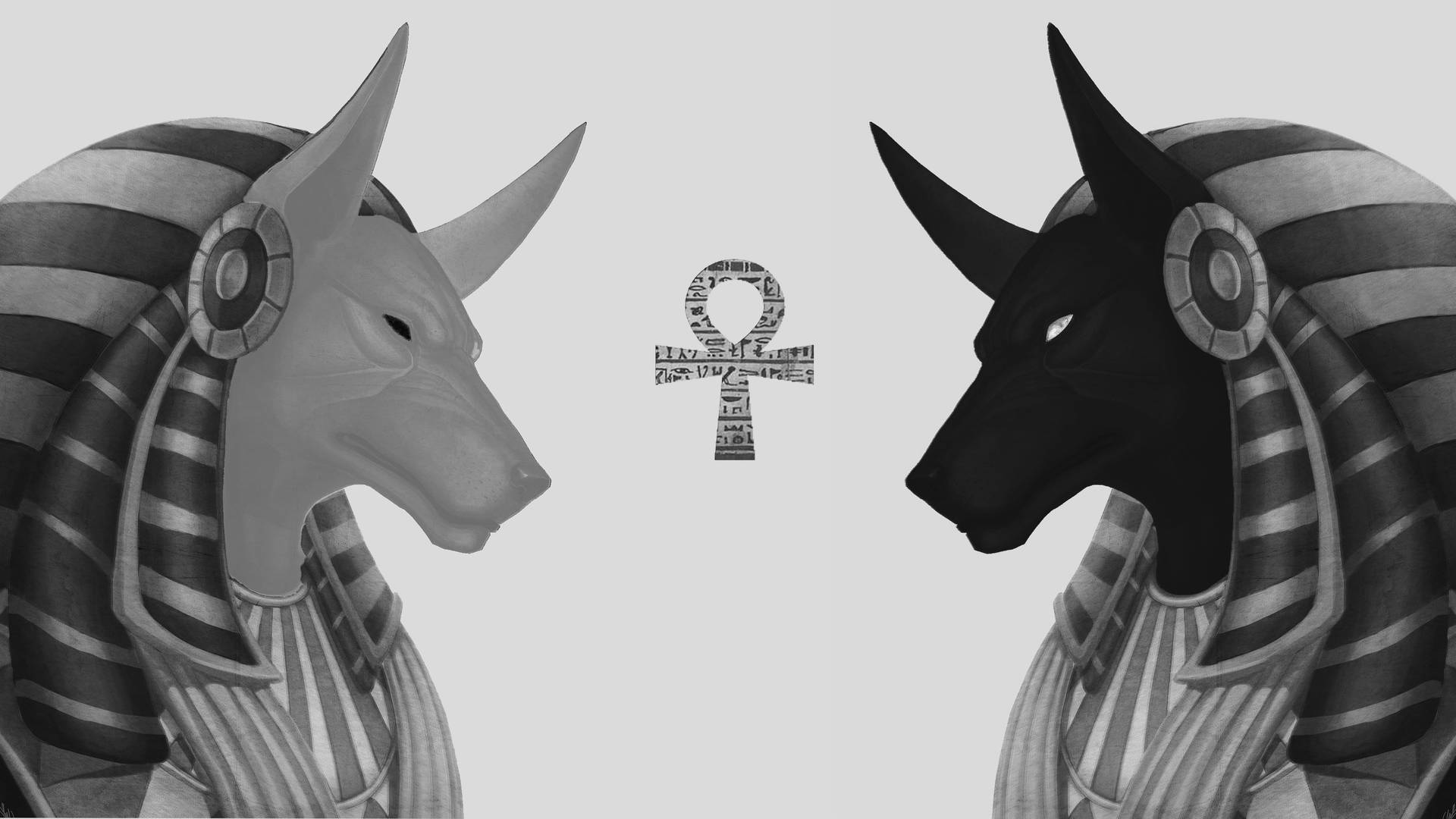 Black And White Statues 4k Anubis